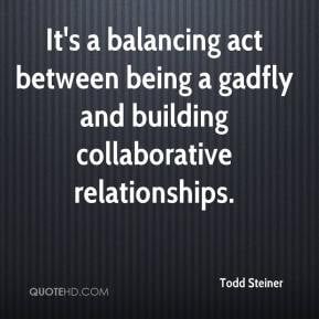 ... act between being a gadfly and building collaborative relationships