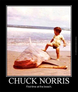 Chuck Norris at the beach