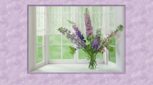 ... much · O_O · Classy in California · Sunday Afternoon Quotes