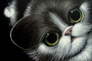 Wirthlin Gallery Cat Series