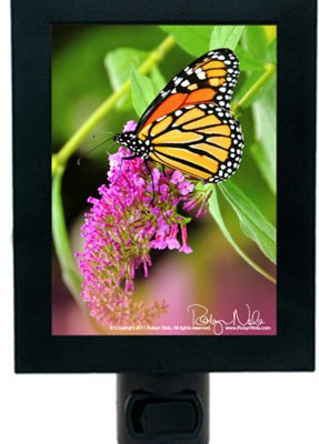 Onyx Butterfly Sculpture: Inspirational Butterfly Gift