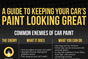 Car Wash Signs Sayings