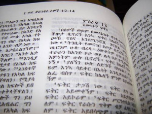 ethiopian orthodox bible in amharic