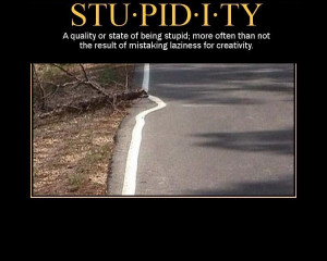 quality or state of being stupid, more often than not the result of ...