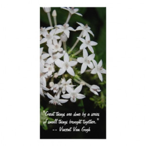Great sayings and Quotes- White flowers Picture Card
