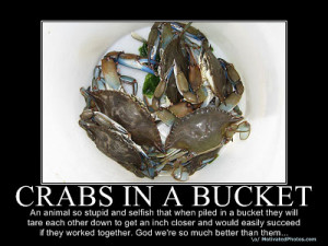 Thread: Crabs in a barrel...