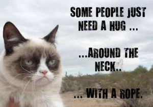 grumpy cat summarises it well