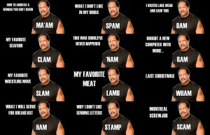 WWE Funny