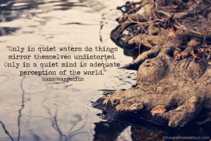 ... Waters Do Things Mirror Themselves Undisturbed Quote About Perception