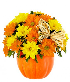 Yellow and orange daisies in pumpkin container