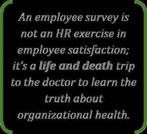 The Workplace Six Employee Survey