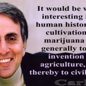 The Cultivation of Marijuana Led to Civilization – Carl Sagan