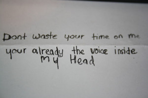 ... 39 t Waste Your Time On Me You 39 re Already the Voice Inside My Head