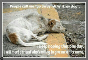 If you see a stray dog do something to help him.