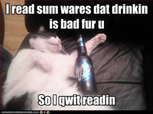 Funny-pictures-cat-is-drunk.jpg#lolcats%20drunk