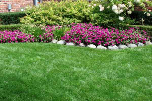 excellent residential lawn care and lawn maintenance programs we