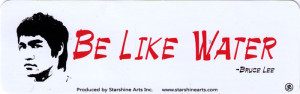 Be Like Water - Bruce Lee - Small Bumper Sticker / Decal (5.5