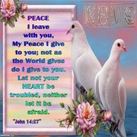 biblical verse with white dove photo: BIBLICAL VERSE WITH WHITE DOVE ...
