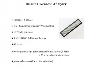 GB (3 bilhões de bases) 48 horas Illumina Genome Analyzer Re-sequen