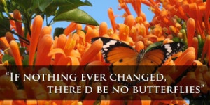 world, the butterfly KNOWS it's only the beginning