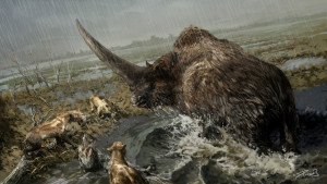 Prehistoric Mammals Elasmotherium by Balcsika