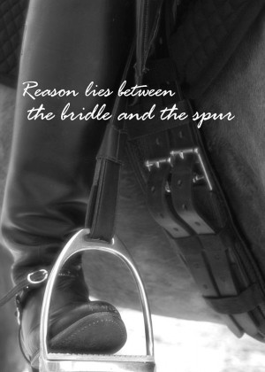 Dressage Irons Quote Photograph