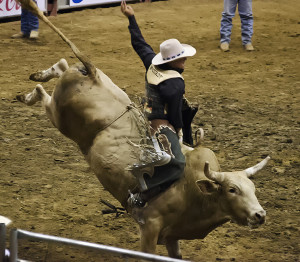 Bull Riding – Southern Pro Finals