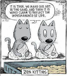 HUMOR - ZEN CATS