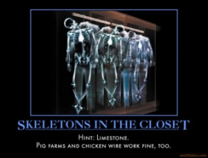 skeletons-in-the-closet-haha-remember-that-time-we-demotivational ...