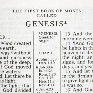 Quotes From the Bible Genesis