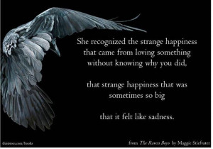 The Raven Boys by Maggie Stiefvater, great book