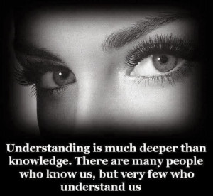 Nice Quote on Understanding with Picture !!