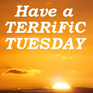 Terrific Tuesday Quotes Have a terrific tuesday
