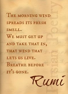 Rumi Quote, Persian Poet More