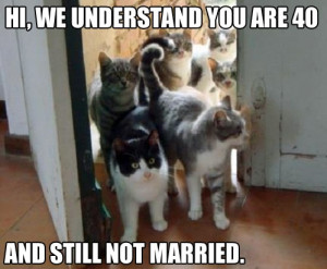 Funny Cat Woman 40 Not Married Meme - Hi, we understand you are 40 and ...