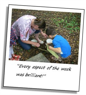 Minibeasts, Mice and the Mole