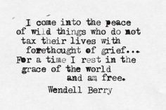 quote about freedom, by Wendell Berry