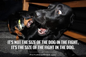 Not The Size Of The Dog In The Fight It S The Fight In The Dog