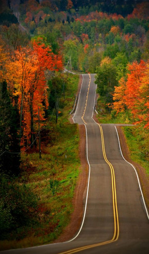 Roads, Country Roads, Back Roads, New England, Autumn, Open Roads ...
