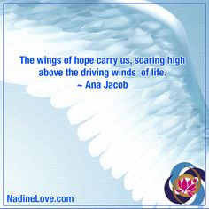 The wings of hope carry us, soaring high above the driving winds of ...