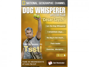 Carry Cesar Millan quotes in your pocket!