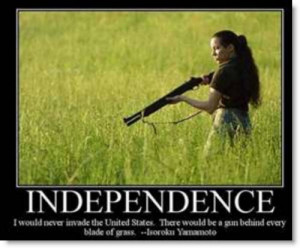independence-gun-behind-every-blade-of-grass-poster