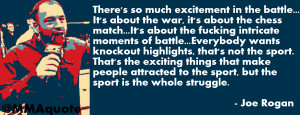 Joe Rogan on the Chess Match that is MMA
