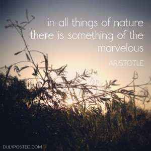 ... of nature there is something of the marvelous.” – Aristotle quote