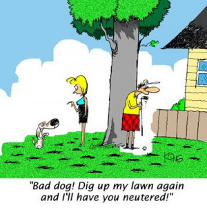 funny blonde golf joke cartoon picture