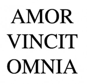AMOR VINCIT OMNIA LATIN WALL QUOTE