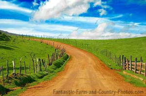 an unpaved country road leads your imagination through a green meadow