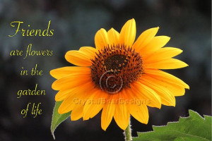 Friends Sunflower Inspirational Greeting by CrystalBearDesigns, $5.00