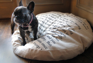 Dog Bed with Velveteen Rabbit Quote