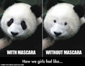 Panda With And Without Mascara